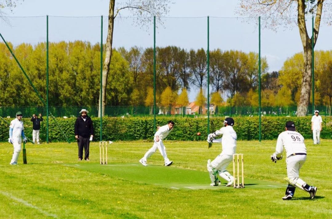 Match Highlights